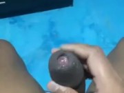 Paja5