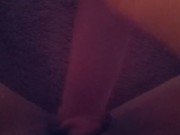 plz play with doggy