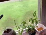 A little bit about my diet(how I lost 40 lbs) 7/16