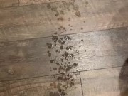 COCK EXPLODES HUGE CUMLOAD IN HOTEL BATHROOM 