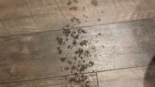 COCK EXPLODES HUGE CUMLOAD IN HOTEL BATHROOM 