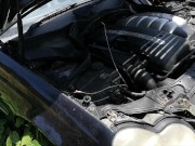starting an abandended car after 8 months watch the wasps