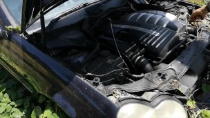 starting an abandended car after 8 months watch the wasps