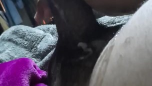 Puñeta mañanera