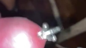 Just starting for tonight. Multiple cock piercings.