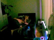 Having Amazing Sex With My Fiancee 2/16