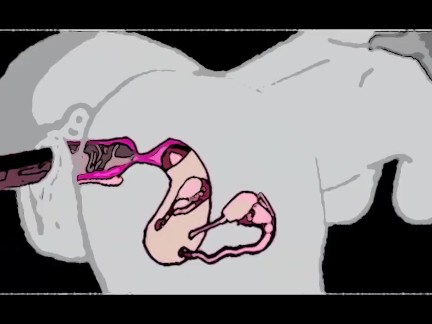 DEEP Pounding inside Squirting PUSSY w Rhythm