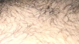 Hairy pits, hairy chest, hairy nipples