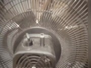 Cooling off before work. Getting ready for appointments 8/16