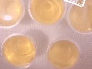 【おしっこチャレンジ】コップに放尿してクリ勃起OL_リクエスト[Pee Challenge] Pissing in a cup and clit erection_japanese girl_ req 15/16