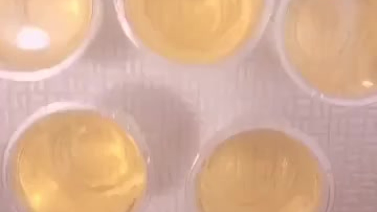 [Desafío de pis] Orinando en una taza y clítoris erection_japanese girl_ respuesta de solicitud - Video de sexo gratis - RedTube