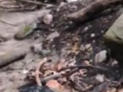 Malibog na Pinay Nagpakantot sa Tabing Ilog 1/16