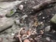 Malibog na Pinay Nagpakantot sa Tabing Ilog 10/16