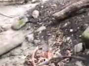 Malibog na Pinay Nagpakantot sa Tabing Ilog 13/16