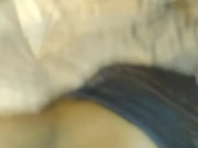 BIG BOOTY EBONY BEGS TO GET HER ASSHOLE POUNDED BY DADDY FAT DICK!!!