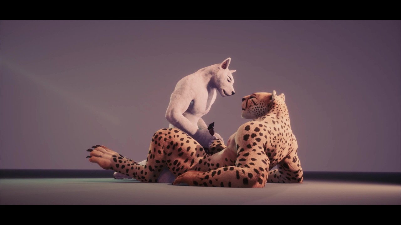 Depredador Playtime - Wild Life Gay Furry Porno - RedTube
