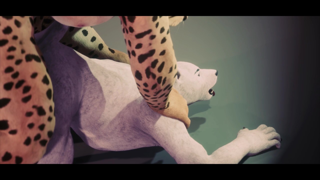 Depredador Playtime - Wild Life Gay Furry Porno - RedTube