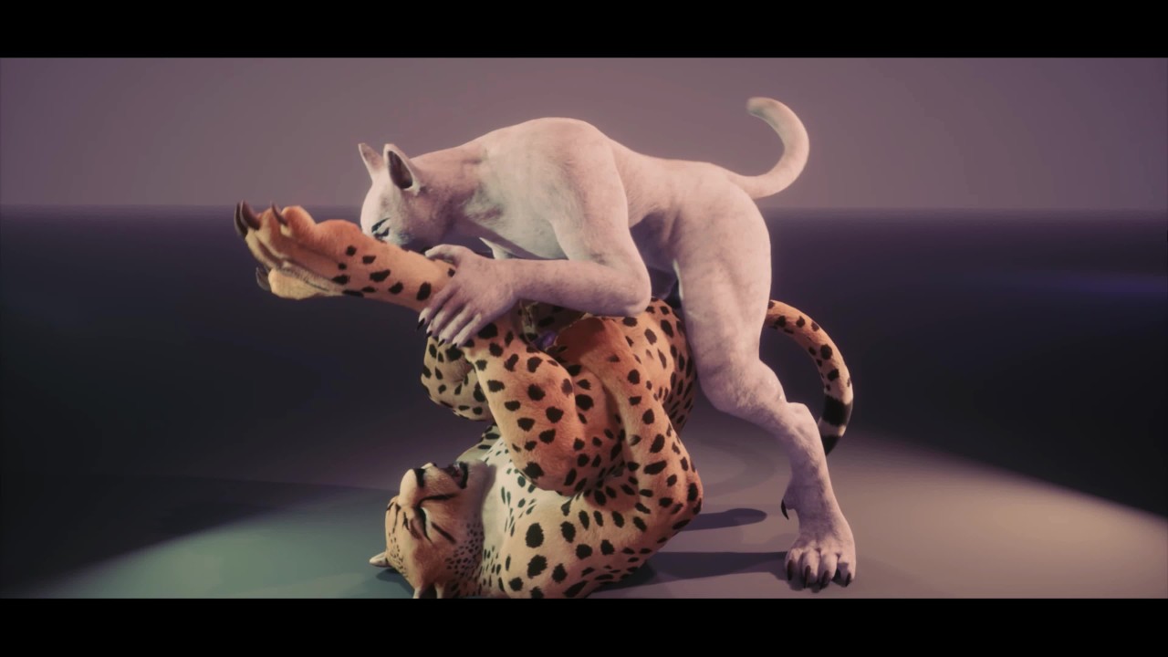 Depredador Playtime - Wild Life Gay Furry Porno - RedTube
