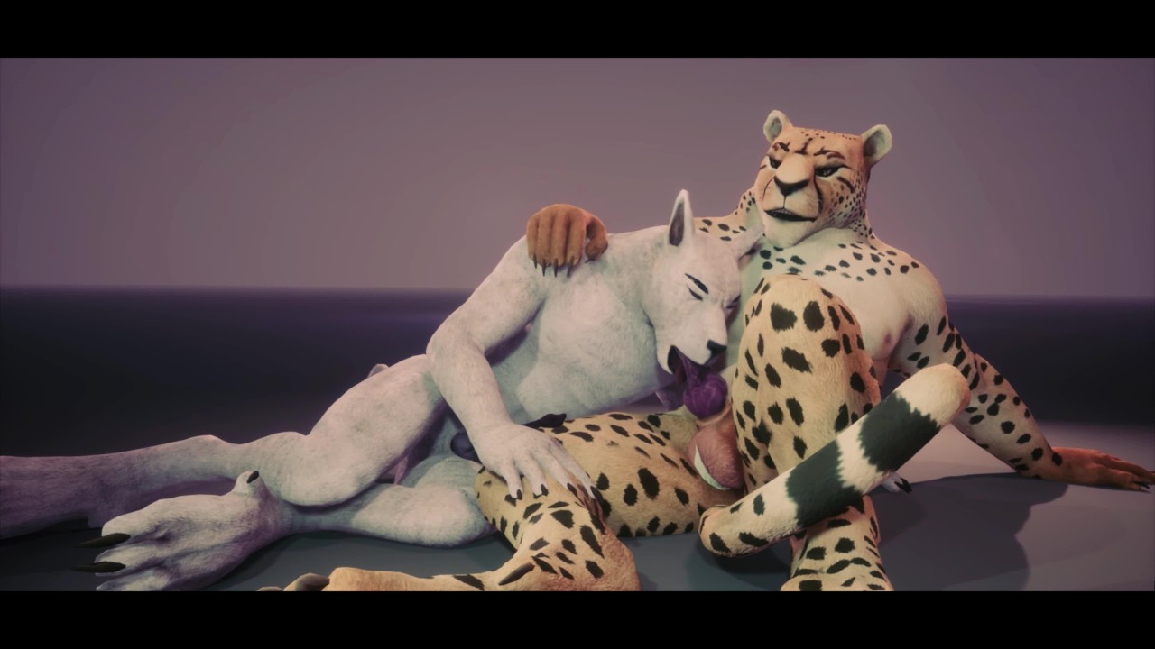 Depredador Playtime - Wild Life Gay Furry Porno - RedTube