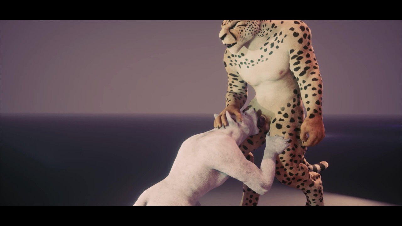 Depredador Playtime - Wild Life Gay Furry Porno - RedTube