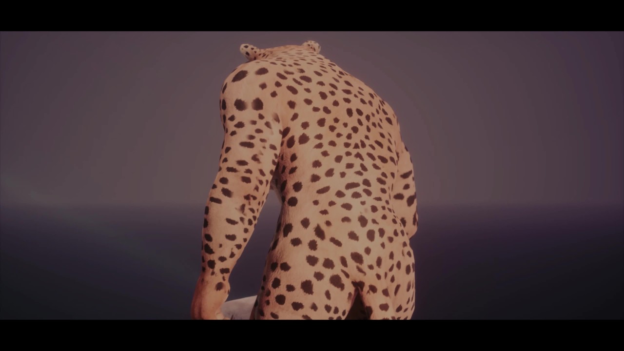 Depredador Playtime - Wild Life Gay Furry Porno - RedTube