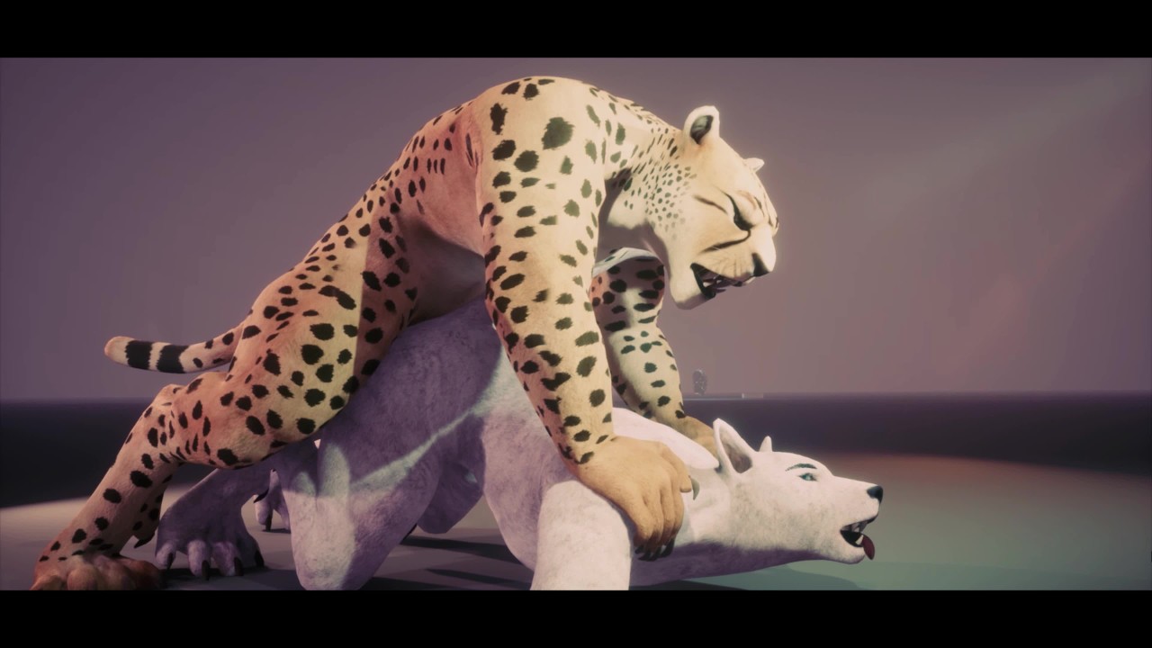 Depredador Playtime - Wild Life Gay Furry Porno - RedTube