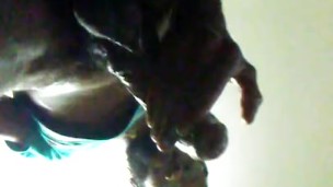 Tuesday quick nut 
