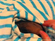 観るだけで効く高波動毒抜き【ストレス緩和と波動調律】 5/16