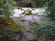 Сделала мне кунилингус возле проезжей трассы на виду у прохожих - lesbian_illusion 2/16