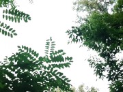 Сделала мне кунилингус возле проезжей трассы на виду у прохожих - lesbian_illusion 5/16