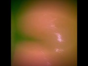 Big Booty Latina Esthela Taylor Compilation 16/16