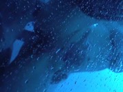 Big titty tattooed beauty gets interview then pounded by a big dick 15/16