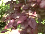 GRANNYLOVESBLACK - Horny Granny LaceyStarr has a real passion for black meat 1/16