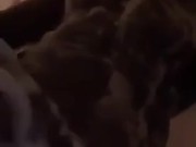 Jackin this dick - Screenshot 5 of 16 - Bbc
