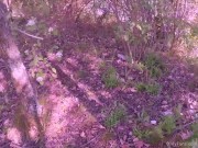 Cumshot Compilation Volume 3 - More Nylon Cum Creaming (Pantyhose Footjobs 4 - 6) Close-Ups,Slow-Mos 3/16