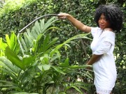 Canela in the WET garden