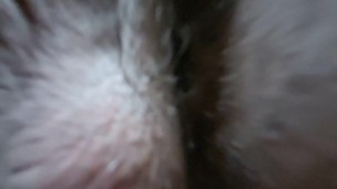 I want to shove my balls in some wet ass pussy. Haven't hung for 7 days. (Sticky sound)