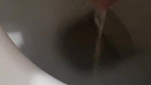 Petit pipi du matin