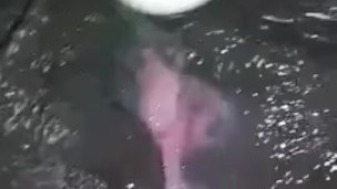 Loud orgasm and wet black pussy