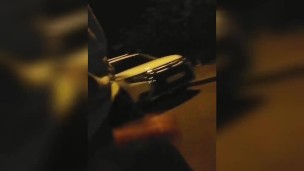 Walking on street with dick out. With ending