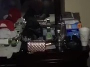 Philly Creamy lil thot  8/16