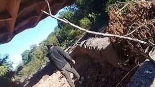 Desnudo bajo el puente