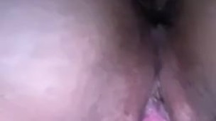 Anal plug 