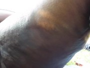 Horny college bbw in the park (Part One) 11/16