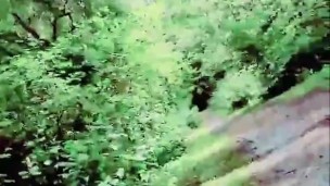 Slutboyben CAM4 Zugedröhnte Sperma Sau