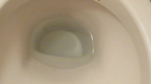Flushing the toilet, after pissing!