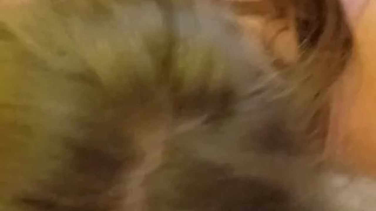 Deepthroat Cum Guzzler - Free Sex Video - RedTube