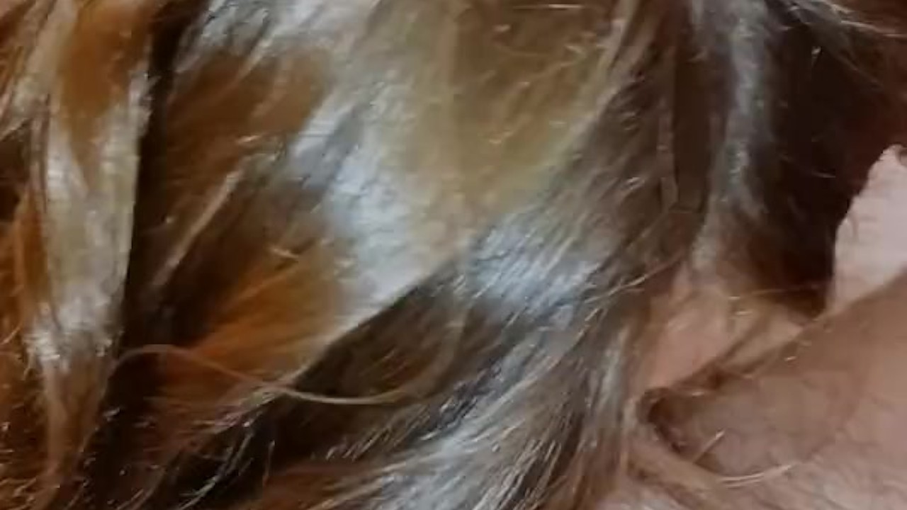 Deepthroat Cum Guzzler - Free Sex Video - RedTube