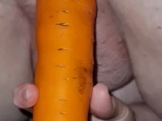 The secret life of carrots: D