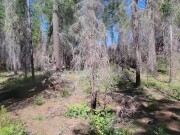 Beast Hunters-- The Ladybuss Succubus  12/16